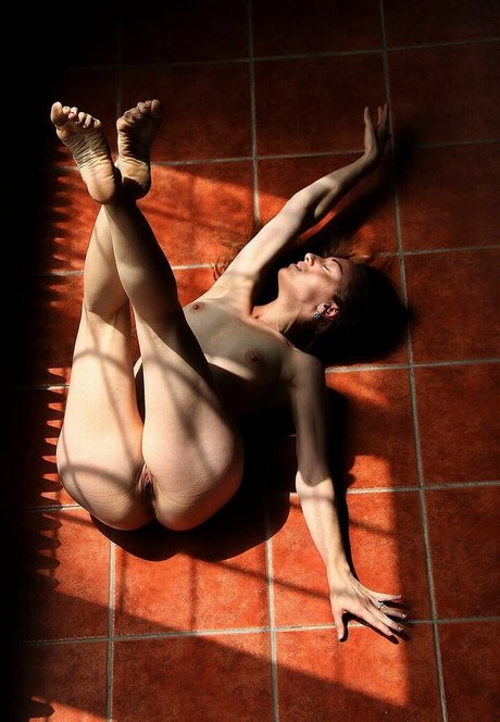 Butterfly Senses 高品質のスター 写真