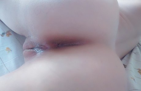 Bimpsxo ポルノモデル 写真