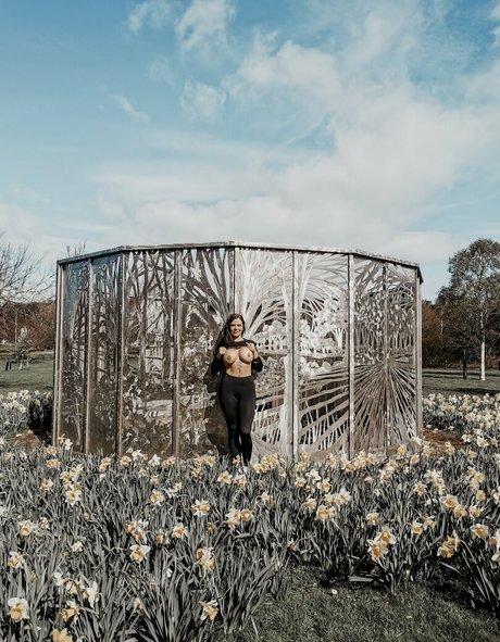 Danilovex 完璧なスター 写真