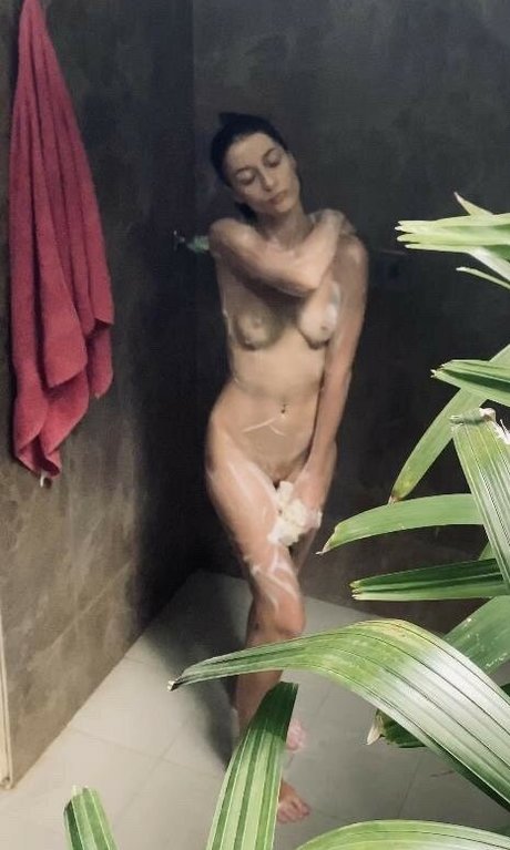 _darsy HDモデル 写真