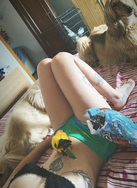 MidoriShake ヌード女優 ギャラリー