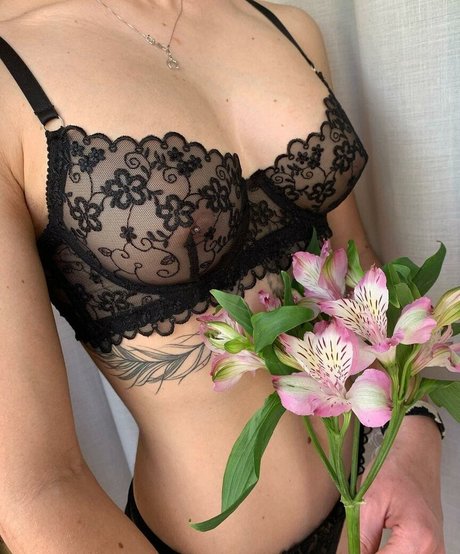 MidoriShake アートスター アーカイブ