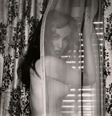 BBW妻オンリーファンズ ポルノ 画像