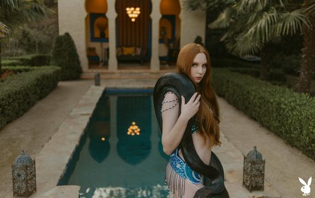 Jessica Lynette Brooks ヌードのポルノスター 写真