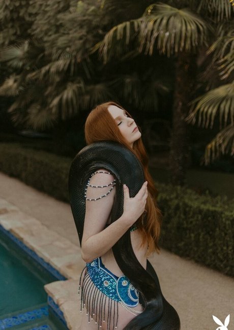 Jessica Lynette Brooks ヌードのポルノスター ギャラリー