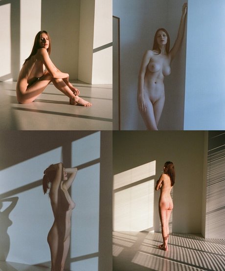 クーガーズオンリーファンズ xxx アーカイブ