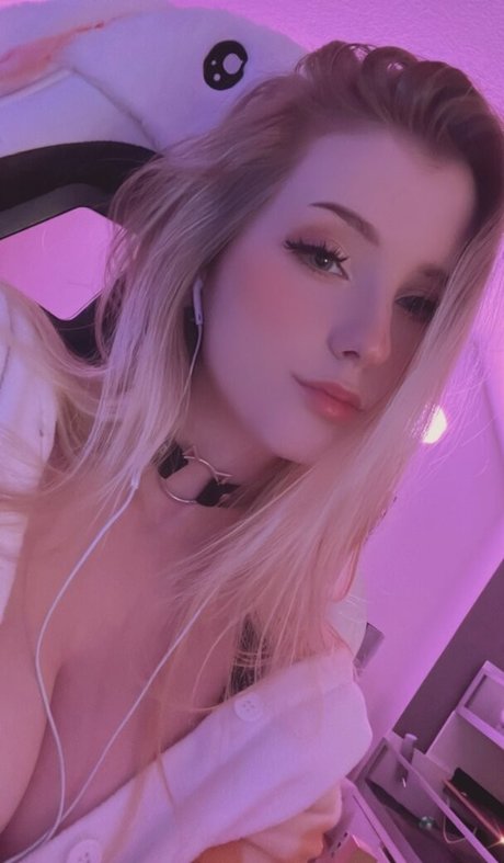 _nineer トップスター ギャラリー