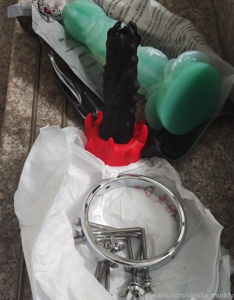 アニメプリンセスOnlyFans 美しいヌード 写真