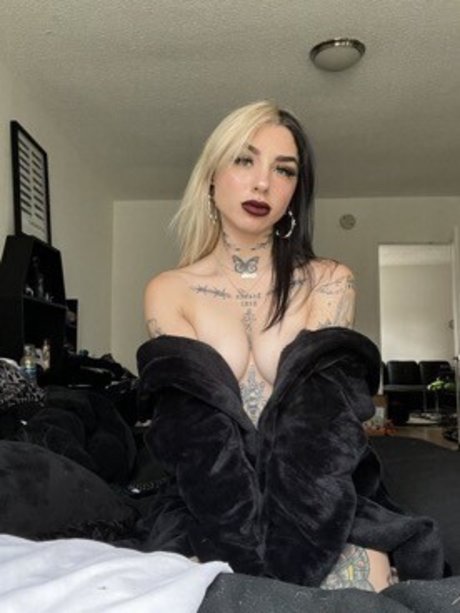 ラバーオンリーファン トップ 写真