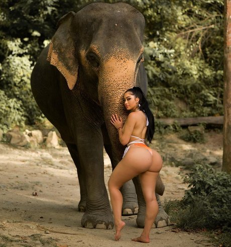 アナルファックOnlyFans ホットヌード 写真