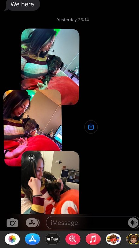 Dajin 高品質モデル ギャラリー