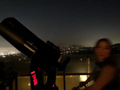 Dajin 完璧なスター 写真