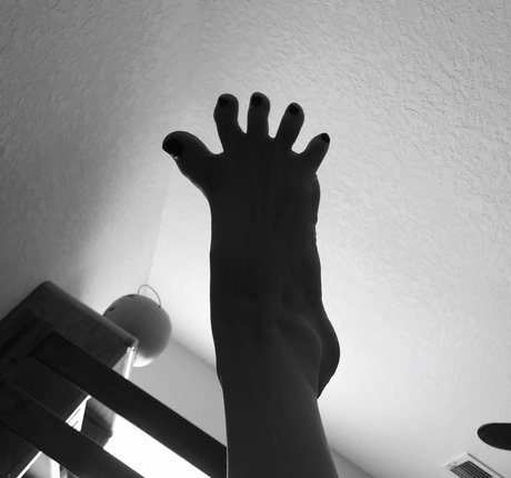 Sonja Reid_ 無料女優 アーカイブ