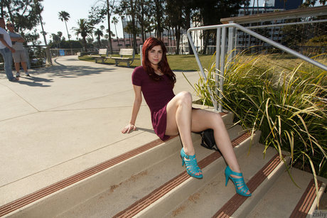 家族限定ファン パーフェクト ギャラリー