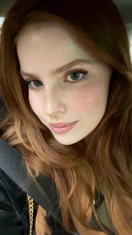 ブラジルの猫オンリーファンズ 素敵 写真