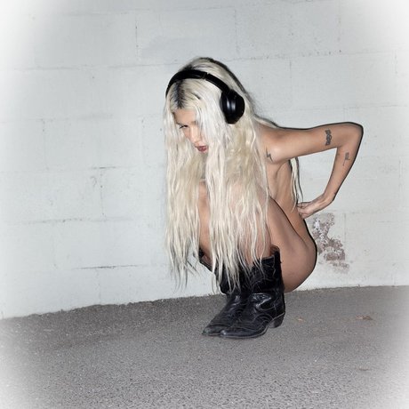 黒檀の猫オンリーファンズ 美しいポルノ 画像