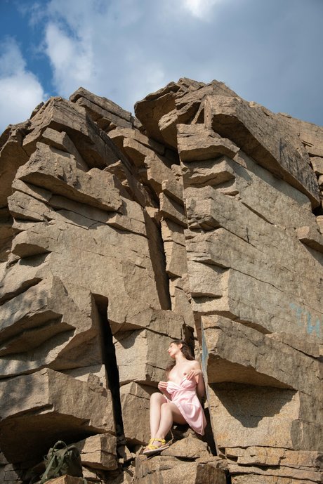 Elis 高品質のスター アーカイブ