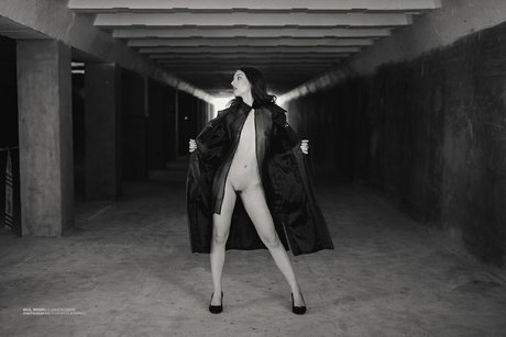 Elis 完璧なポルノスター アーカイブ