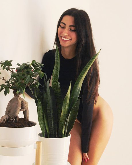 BBW TS オンリーファンズ 無料セクシー 写真