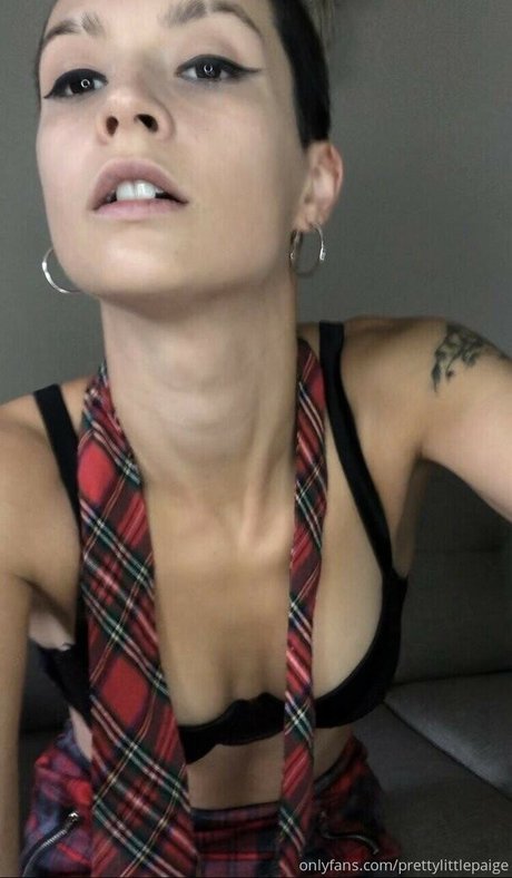 Pretty Little Paige アートスター 画像