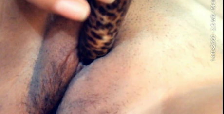 Nimsay ポルノスター 美しい 写真