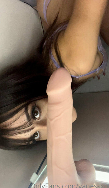 Vanessxo アートスター ギャラリー