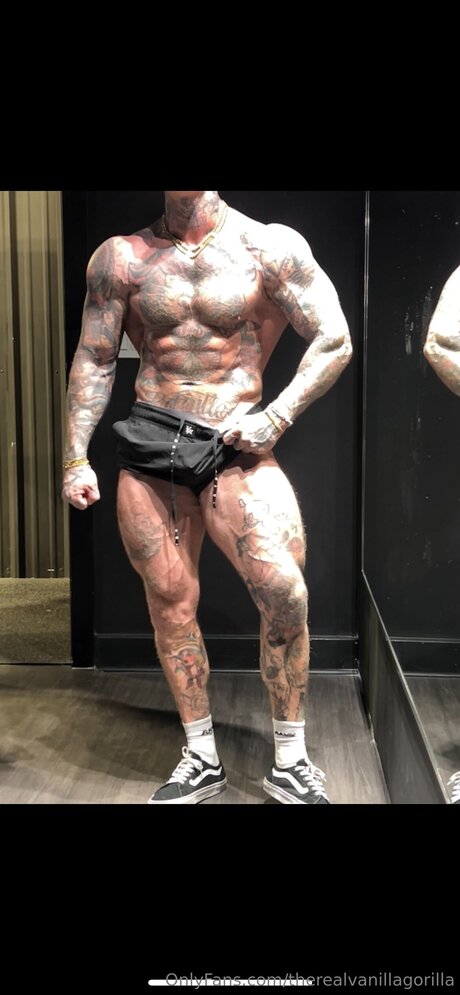 Therealvanillagorilla ポルノモデル 画像