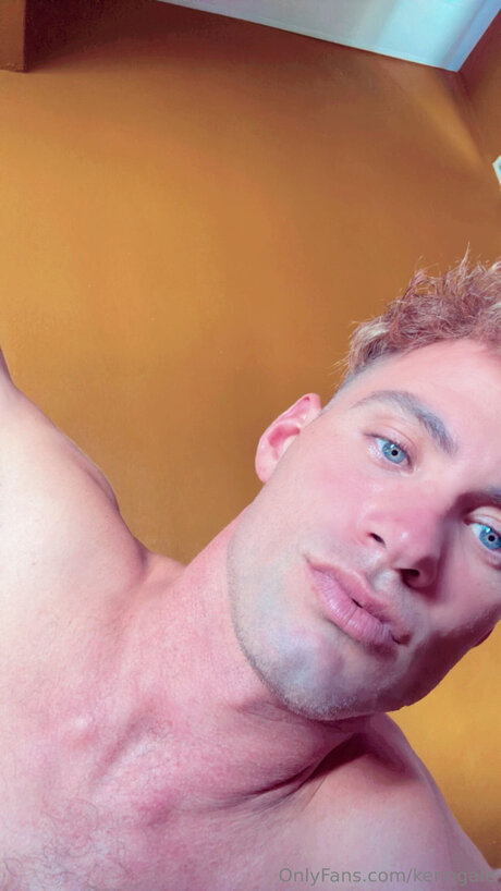 Pologale 素敵なスター 画像