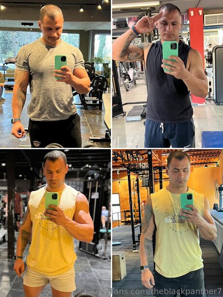 Theblackpanther7 無料のスター 写真