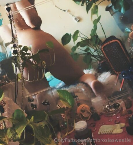 Ambrosiasweetie ポルノ女優 写真