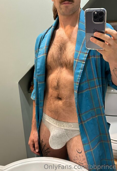 Bbprince アートスター 写真