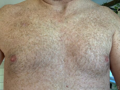 Dad Bod1 ポルノスター ベスト ギャラリー