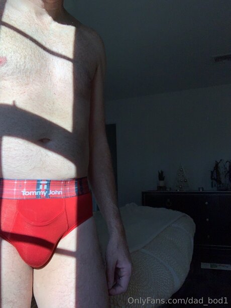 Dad Bod1 ポルノモデル 画像