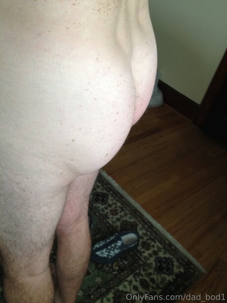 Dad Bod1 無料のポルノスター 写真