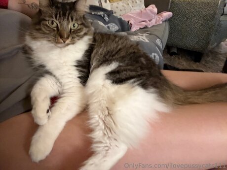 Ilovepussycats111 可愛いモデル 画像