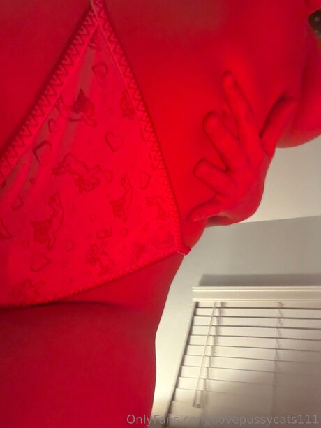 Ilovepussycats111 素敵なスター 写真