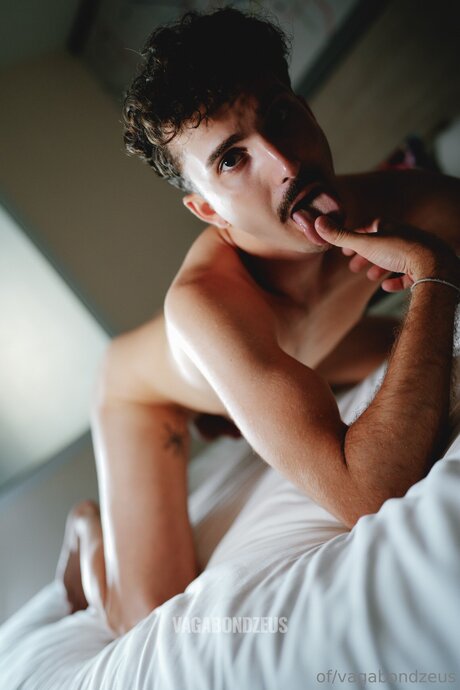 Vagabondzeus ポルノスター トップ 写真