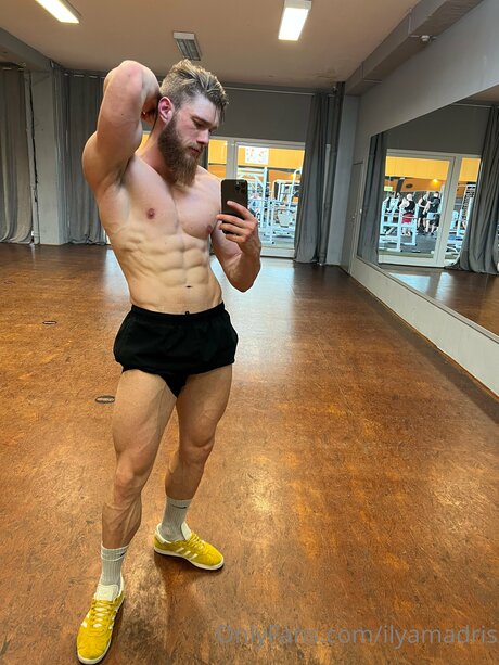 Ilyamadris 完璧なスター 写真