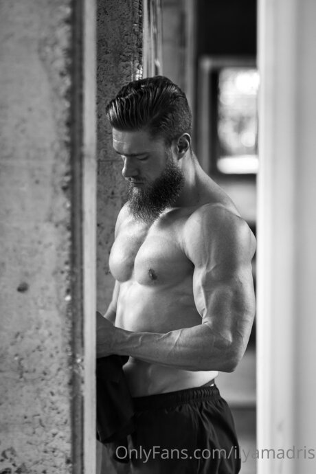 Ilyamadris HDモデル 写真