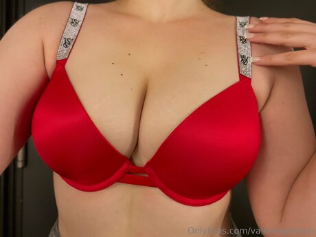 大きなお尻と巨乳のオンリーファンズ エロチック 写真