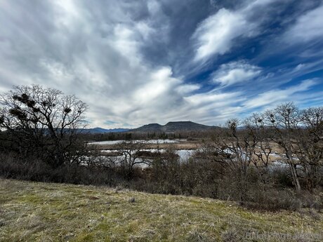 BBWキティOnlyFans 無料ポルノ 画像