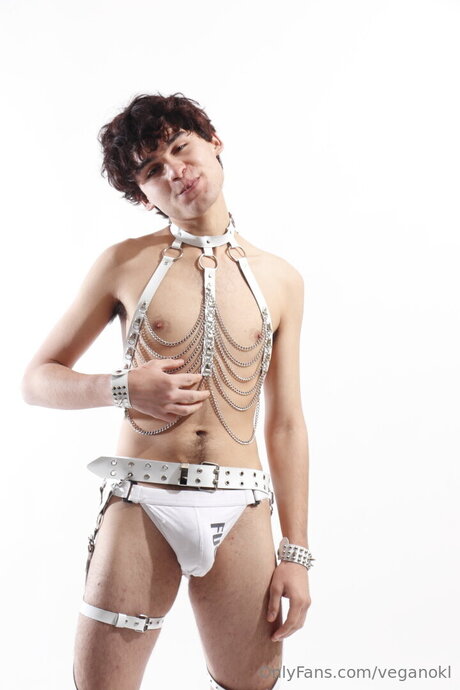 ジンジャートゥインクオンリーファンズ アートヌード 画像