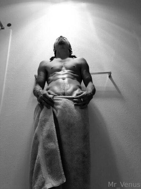 Mr Venus 高品質スター アーカイブ