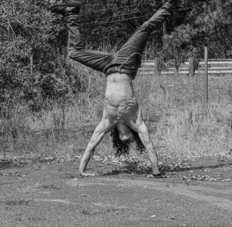 Mr Venus 素敵なスター ギャラリー