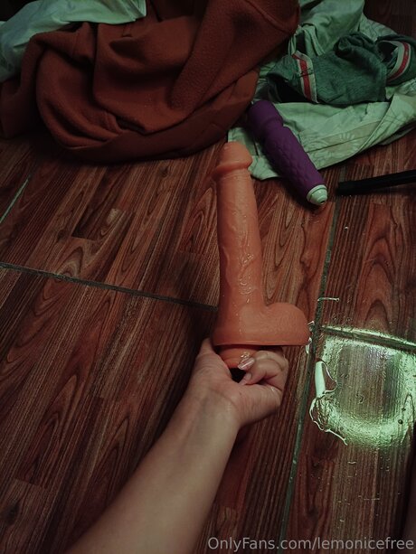 Lemonicefree ポルノスター アート 写真