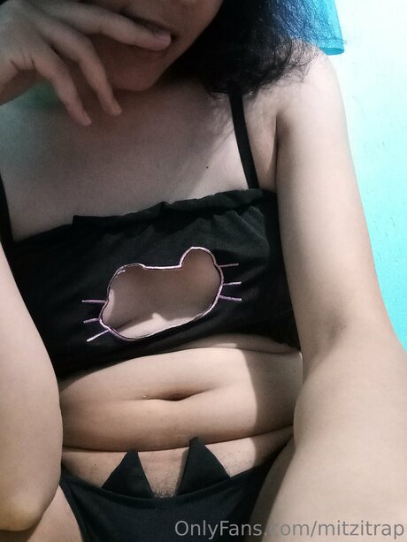 Mitzitrap HDモデル アーカイブ