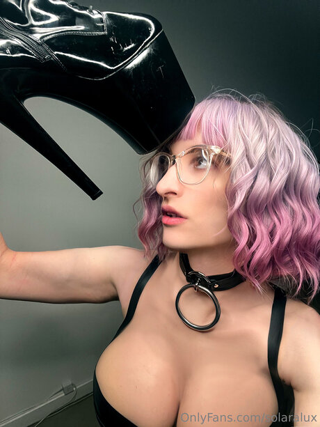 Evelynvex 限定モデル 写真