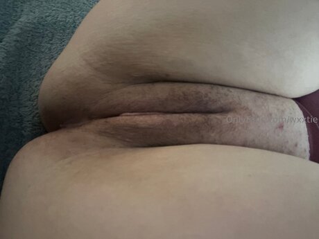 Wxxtie ポルノスター HD 写真