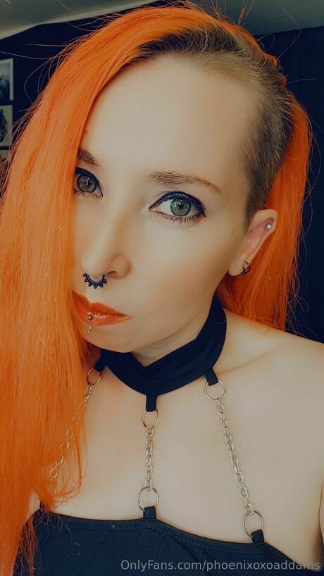 厚い黒檀オンリーファンズ えろた 写真