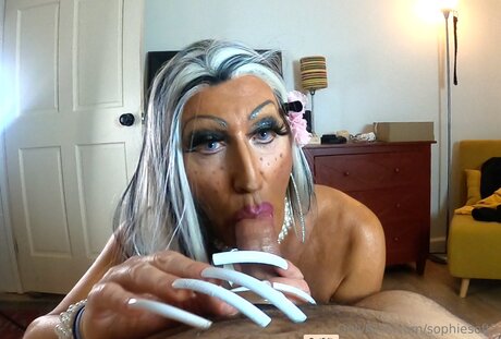 Sophiesoft5 独占女優 写真